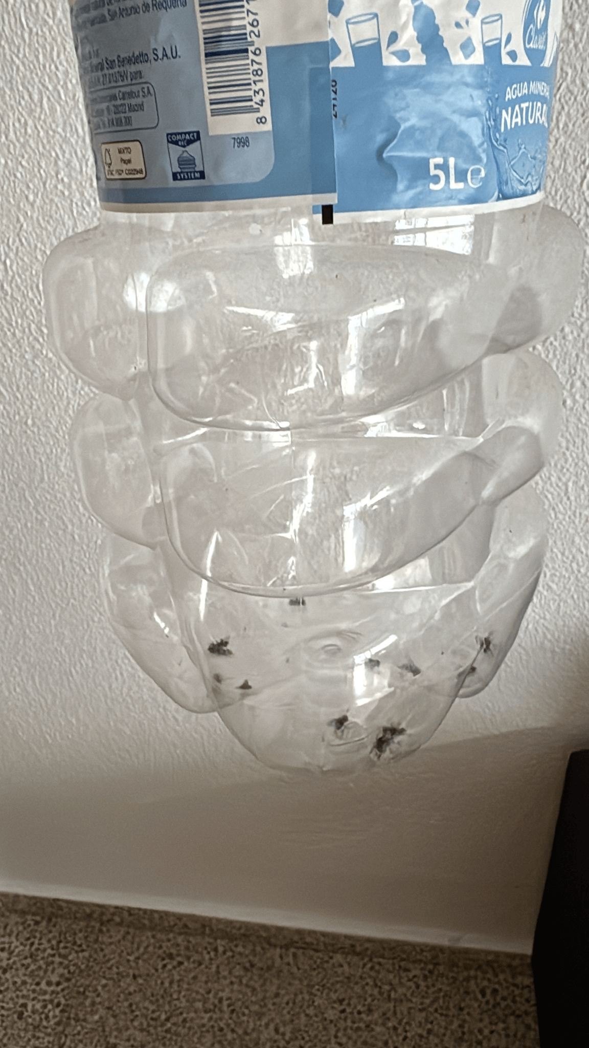 Many Flies