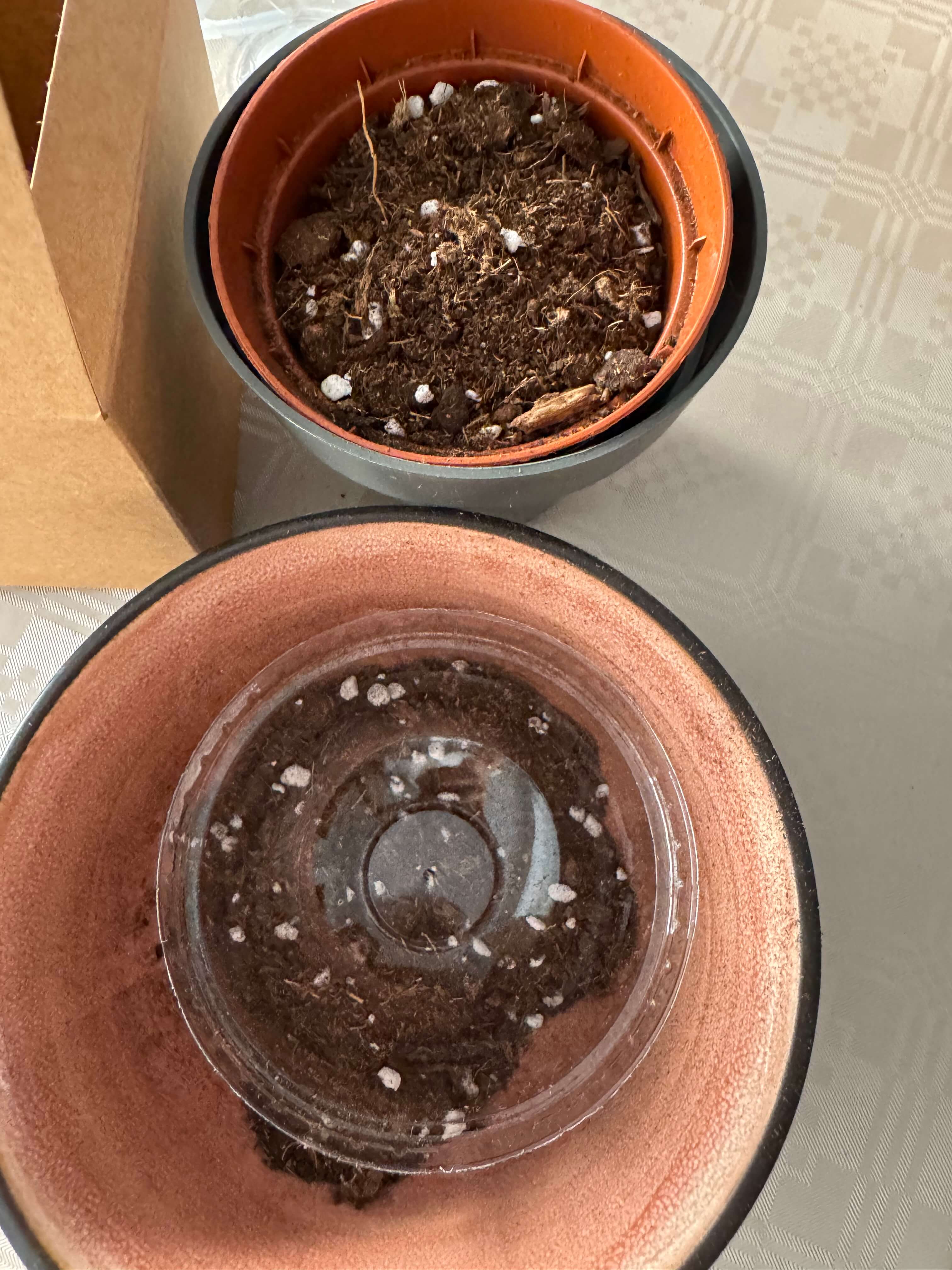 Drosera Pot and Greenhouse DIY