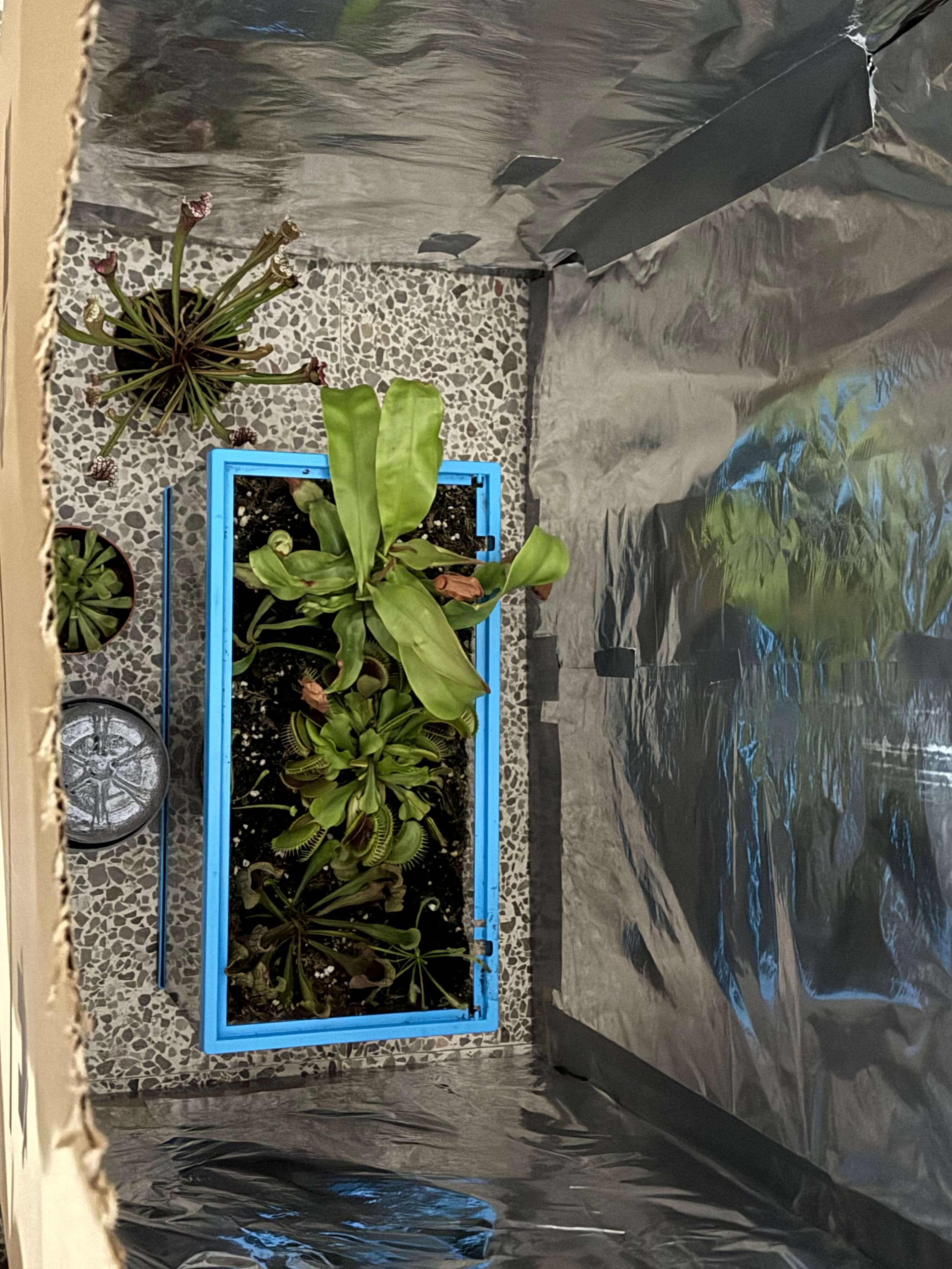 DIY Greenhouse