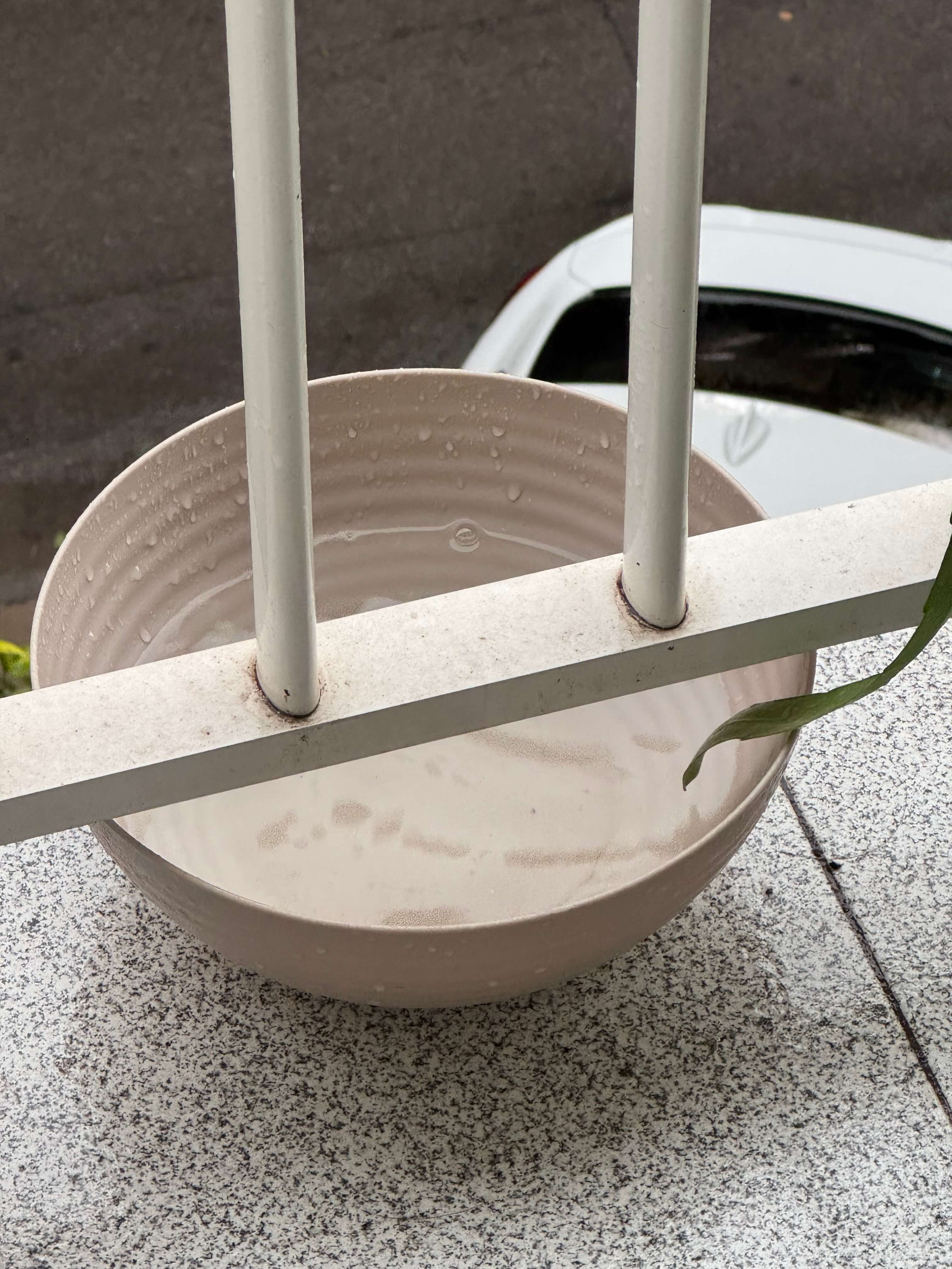Bowl with water
